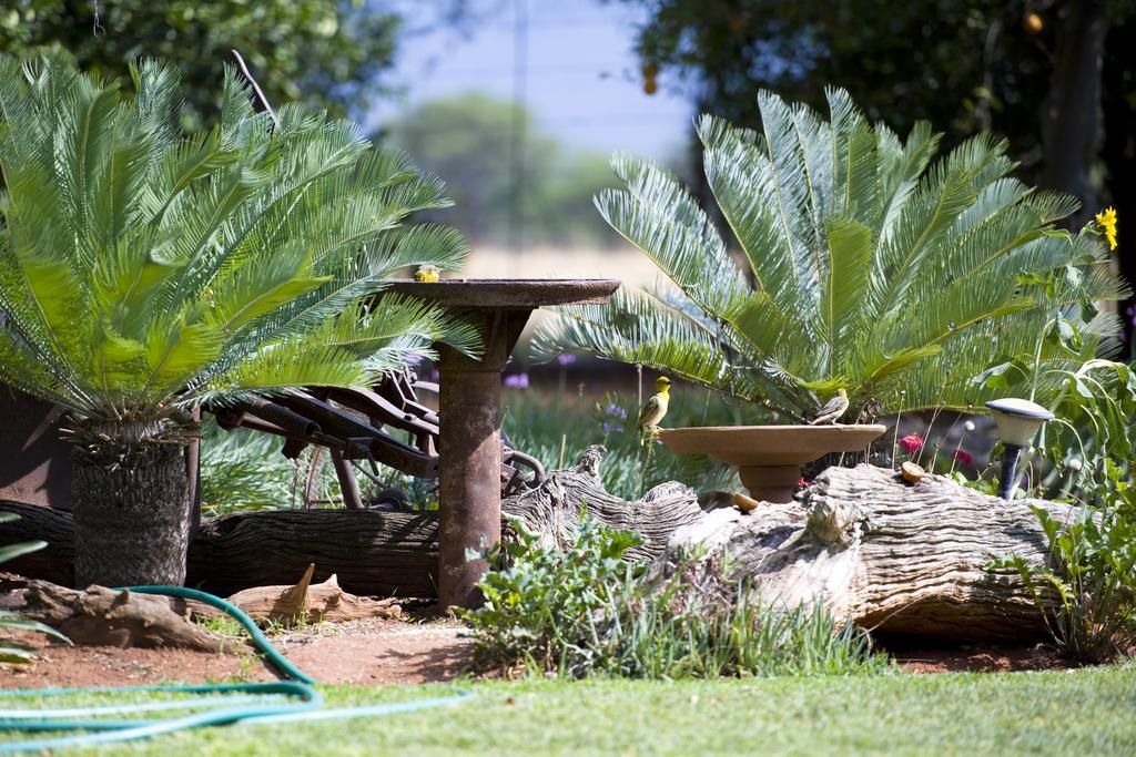 Boschfontein Guest Farm Villa Thabazimbi Bagian luar foto